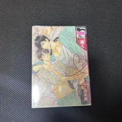 酷くしないで 4