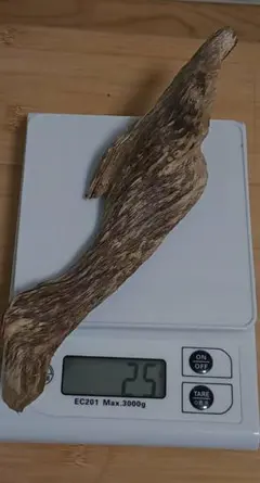 Item thumbnail for item 8cc2a0b3-ce87-4ea3-b36d-05b0ec0b9c7b