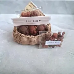 가짜 과자, 과자, 곰 쿠키, 곰 초콜릿 미니어처