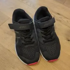 20cm