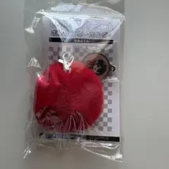カラフルピーチ　ポンポンキーホルダー　ゆあんくんのサムネイル