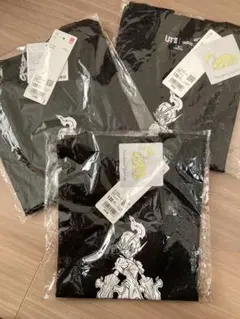 匿名配送ポケモンTシャツ120新品未使用ソウブレイズまとめ売り双子