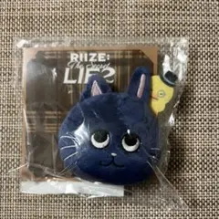2025年最新】RIIZE ぬいぐるみバッジ ウォンビンの人気アイテム - メルカリ