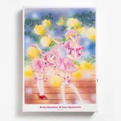 セーラームーン　FC限定　10周年記念 うさぎ＆ちびうさ LEDキャンバスライト 激レア】セーラームーン 10周年記念LEDキャンバスライト - メルカリ