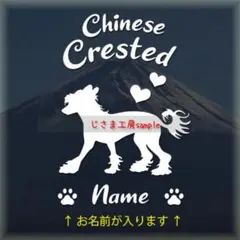 Item thumbnail for item af023de6-9c2c-49c9-95f6-591d5b8ab002