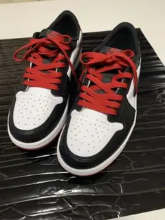 【極美品】ナイキ 28cm Air Jordan 1 RETRO Low ダンク