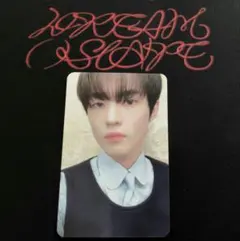 チョンロ　トレカ　DREAM( )SCAPE