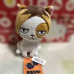 ハイキューけんまねこ狐爪研磨ぬいぐるみ台湾限定