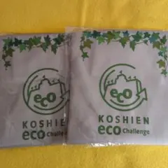 Item thumbnail for item 43eb6dc7-f71d-46ac-8c37-c3b93f79e022