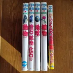 小学館の図鑑NEO 5冊セット DVD付き