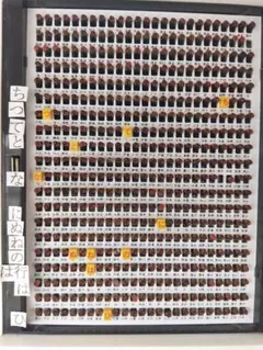 Item thumbnail for item 4ea73878-cda5-4e22-8f5f-9b2b63f6a139