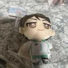 ハイキュー ぬいパル ぬいぐるみ 及川徹