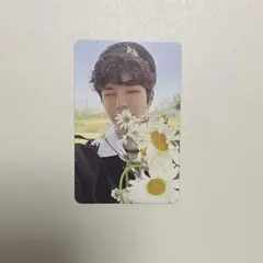 スンミン トレカ MAXIDENT 封入 スキズ