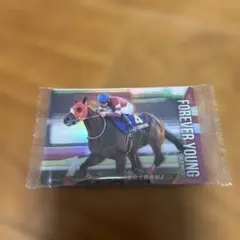 2026年最新】フォーエバーヤングの人気アイテム - メルカリ