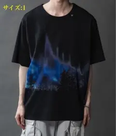 PHILTHEORY/フィルテックインクジェットグラフィックTシャツ/サイズ:1