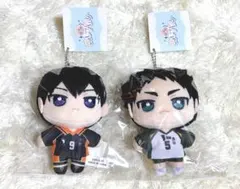 ぬいパル ハイキュー！！ 影山飛雄 赤葦京治