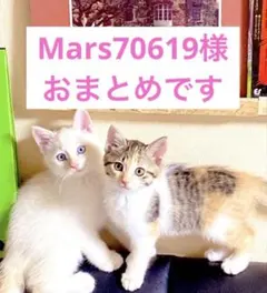 Mars70619様 リクエスト 2点 まとめ商品