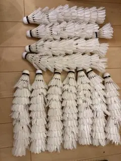 Item thumbnail for item 78776183-a934-476c-8aab-62b036623427