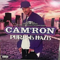 Cam'ron Purple Haze US盤 2LP