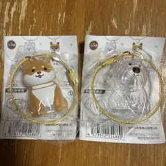 わんこのタイムカプセルB