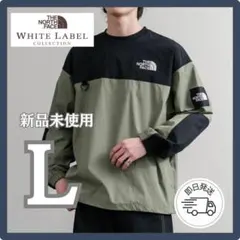 Item thumbnail for item 0c1fad41-cbe2-4a98-bbc2-132aff70e178