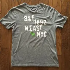 Abercrombie Kids グレー Tシャツ XL/16