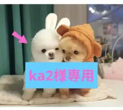 ウサギ耳付きフリース犬服 小型犬用