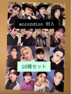straykids do it accordion 封入トレカ　16種コンプ