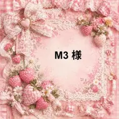 M3　様