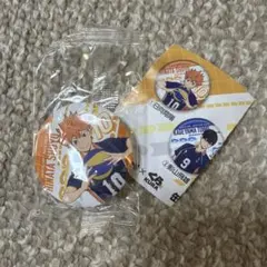 日向翔陽 ピンバッジ