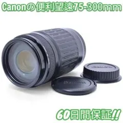 2026年最新】canon 75-300 4-5.6 IIの人気アイテム - メルカリ