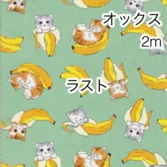 ラスト 2m 猫とバナナ グリーン オックス