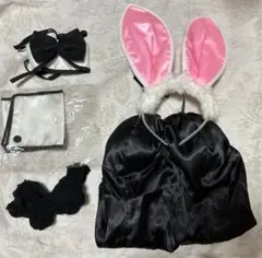 バニーガール コスプレ衣装　5点セット