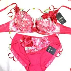 新品・タグ付き☆ワコール☆サルート☆バルセロナ☆ＲＰ☆Ｃ７５＆ショーツＭ