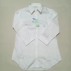 Item thumbnail for item 85370e59-1072-42f6-af36-7ea8ffdf9169