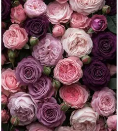 なかの様ラルフローレン　80cm 男の子　入園式　フォーマル　セット ミキハウス