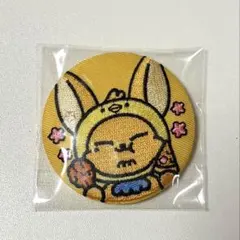 プルバトゥ　PPULBATU　刺繍缶バッジ　缶バッチ　ファンチュン　ヨンジュン