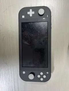 Nintendo Switch Lite グレー 本体 箱付き