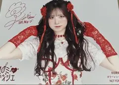 北野瑠華A4サイズピンナップ12枚 - メルカリ