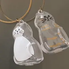 けだまだま 猫 茶トラ