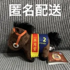 サラブレッドコレクション マスコットボールチェーン36 ノーリーズン