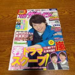 1120 ザテレビジョン 1996年2月1日発行 No.10 - メルカリ