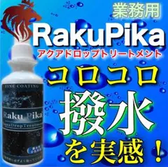 お買得！撥水コーティング！撥水性能と輝き両者を維持したい方にオススメ 洗車用品