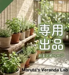 PON29様 専用出品