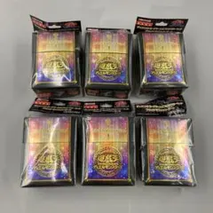 ★遊戯王 カードケース＆プロテクターセット ブラック・マジシャン・ガール　6点