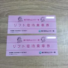 奥只見丸山スキー場リフト券２枚セット 奥只見丸山スキー場 1日リフト券 2枚セット - メルカリ