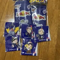 Red Bull レッドブル アクリルキーホルダー ポーチ セット