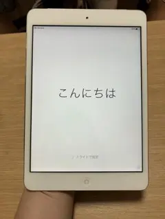 【美品 】iPad mini 初代 64GB au シルバー 動作確認済み