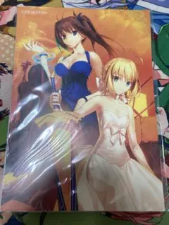 TYPE-MOON Fes. ポスター Amazon.co.jp: TYPE-MOON Fes 特典ポスター : Toys & Games