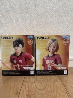 ハイキュー!! 黒尾鉄朗 孤爪研磨フィギュアセット プライズ SEGA 黒研